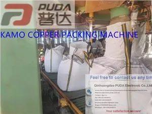 מכונת אריזת שקיות פחם